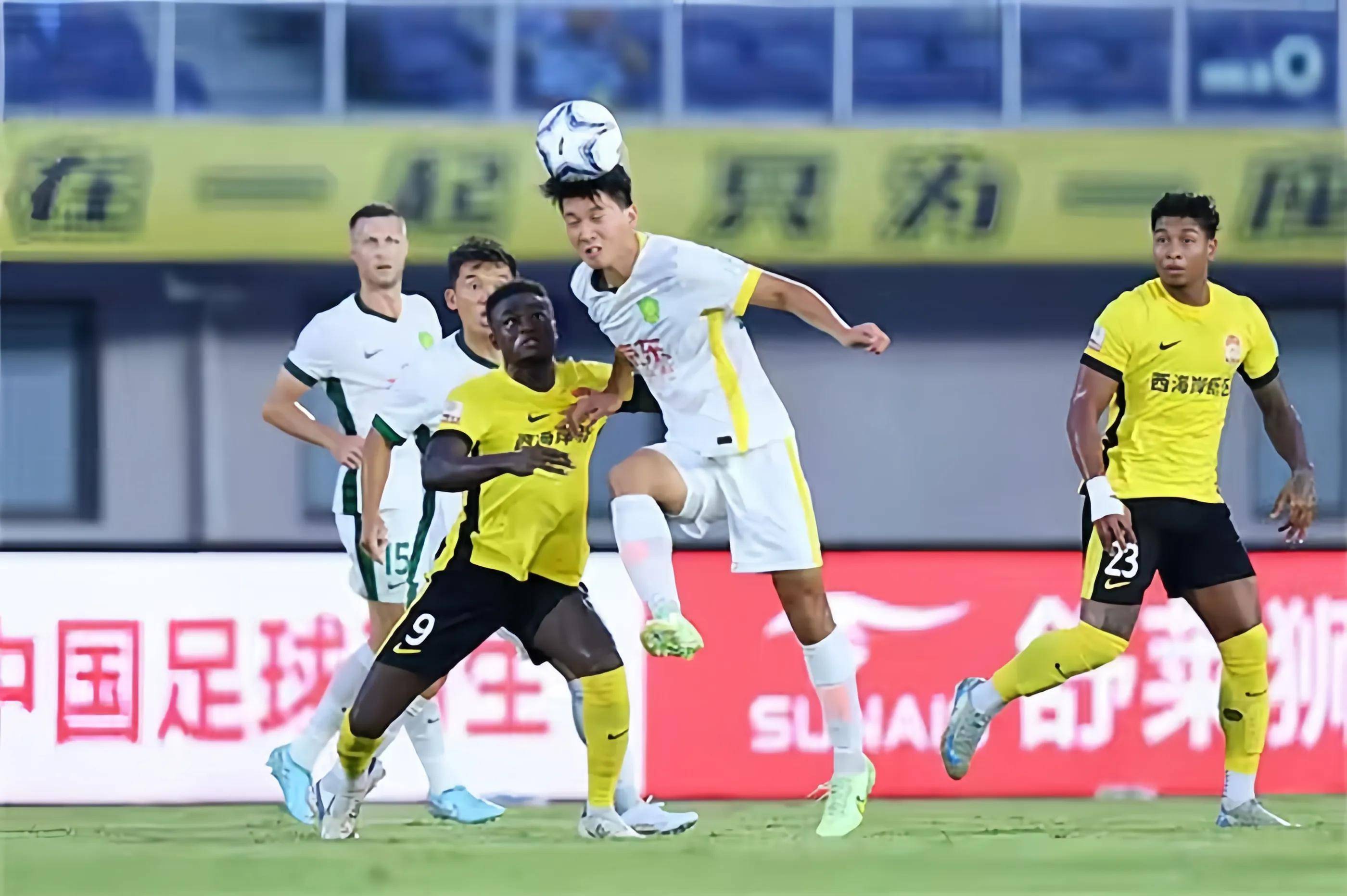 的多功能属 的多功能属