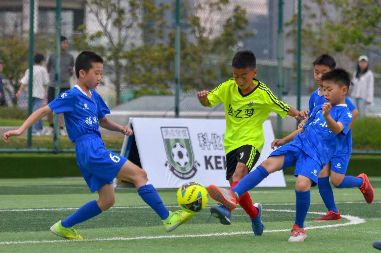 的比赛脚本 的比赛脚本